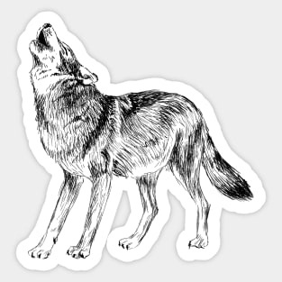 Howling Wolf Sketch Sticker